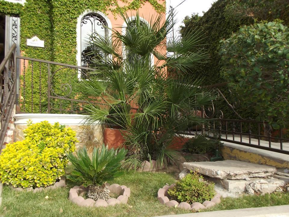Maria Bonita Suites Agua Prieta Eksteriør bilde